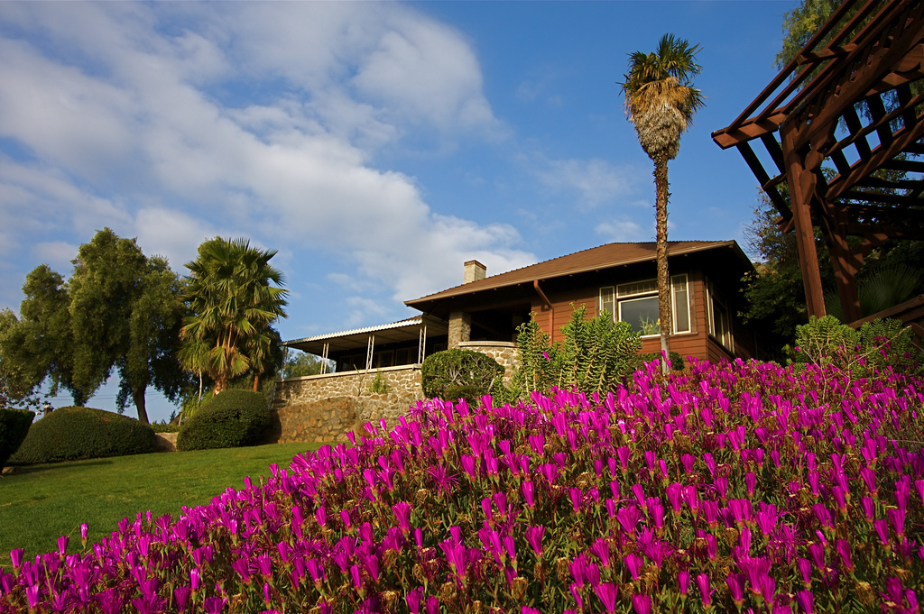 How to Save Money in Your New Home