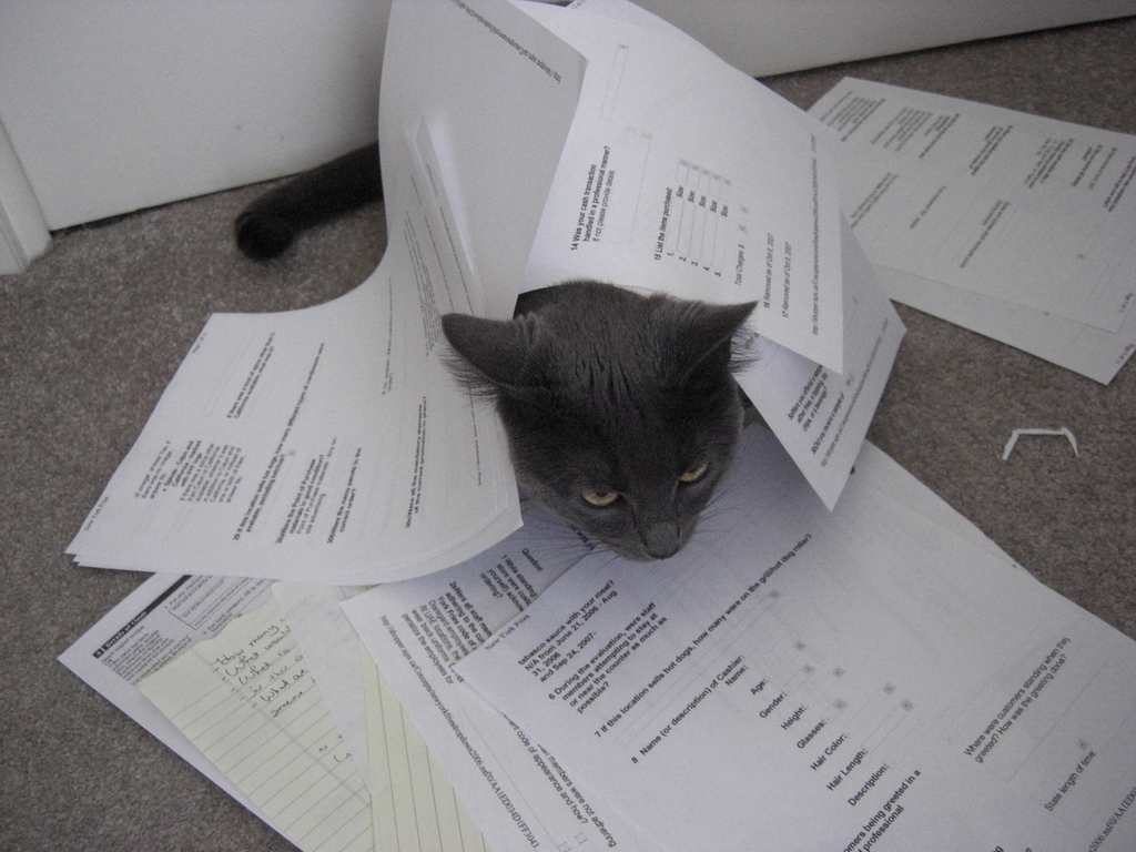 Filing Taxes: Why You Should Start Now