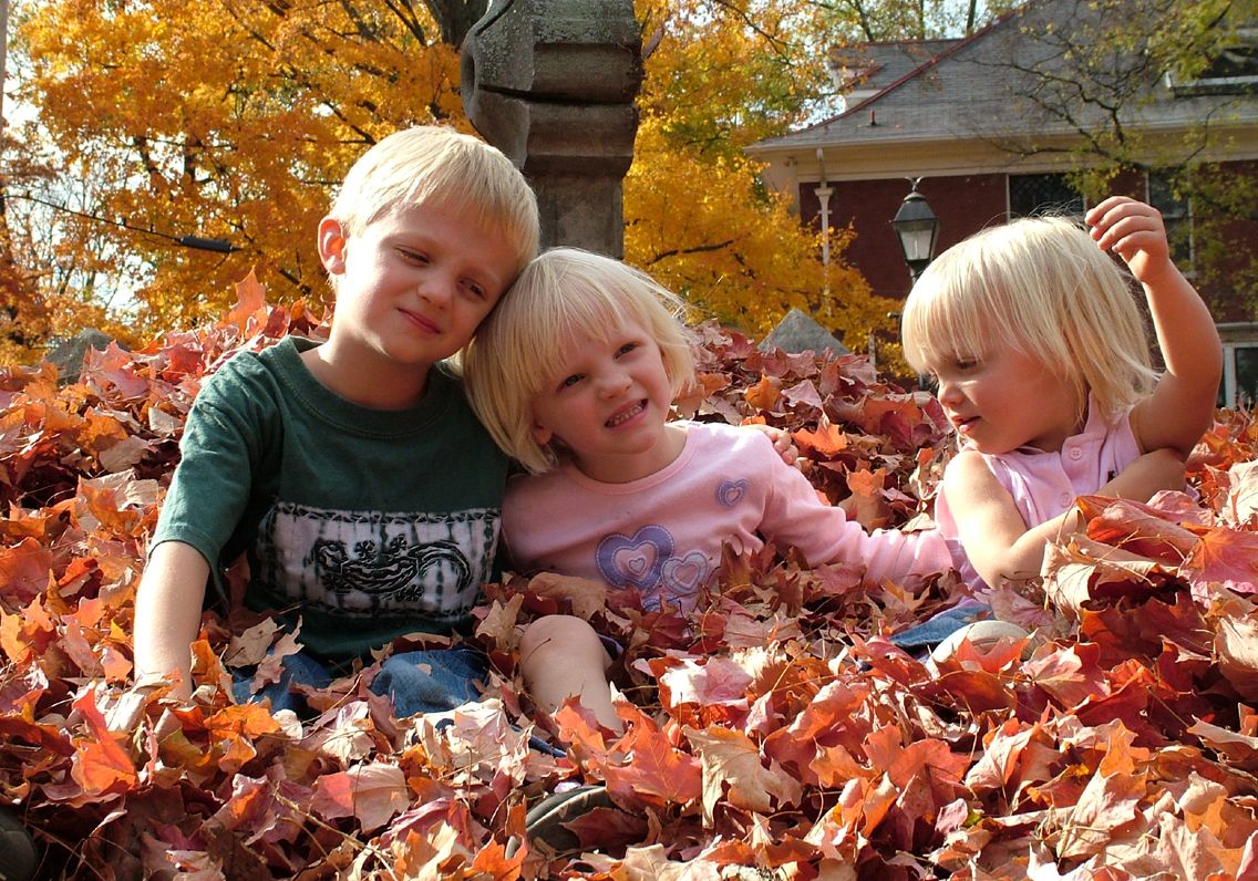 Home Equity Line of Credit, HELOC, Is on the Rebound