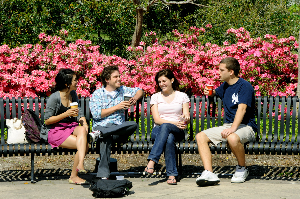 Why Student Credit Cards Offer Life-Long Value