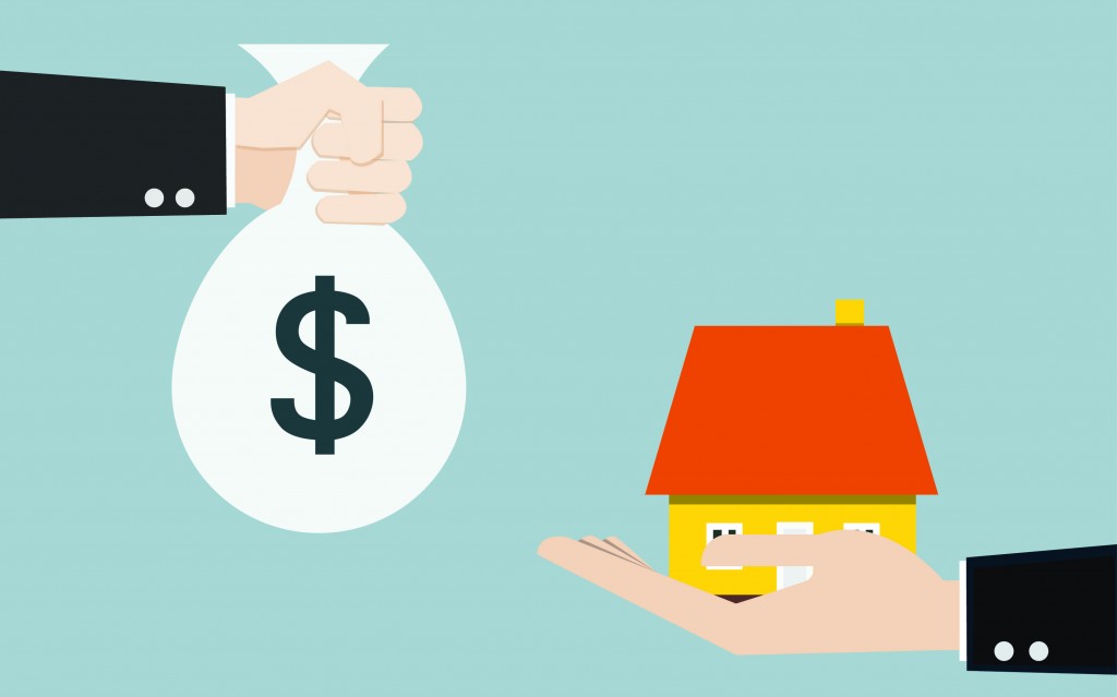 Use a HELOC to Repair Pet Damage to Your Home for Sale