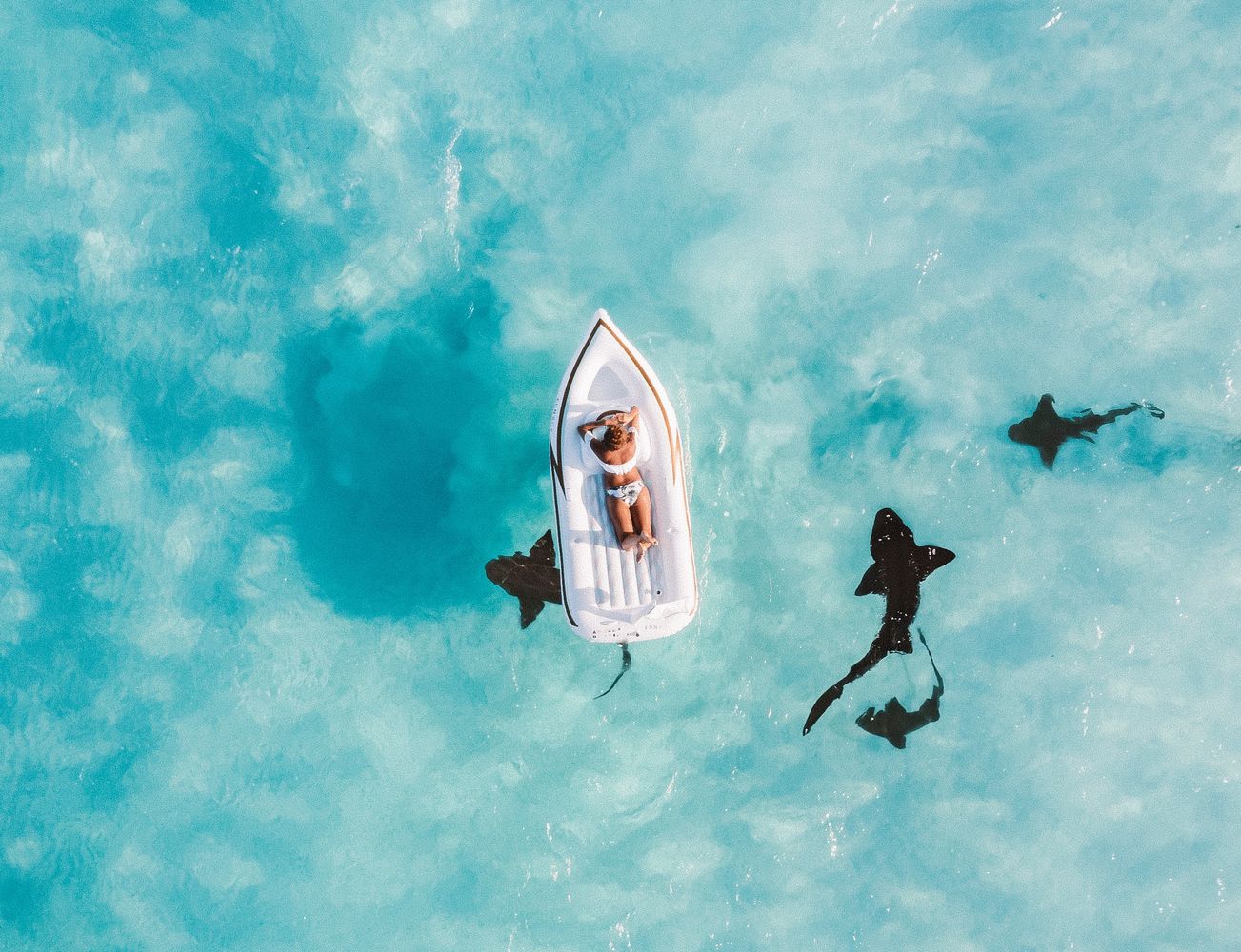 Travel Credit Cards That Can Keep a Shark Attack From Ruining Your Summer