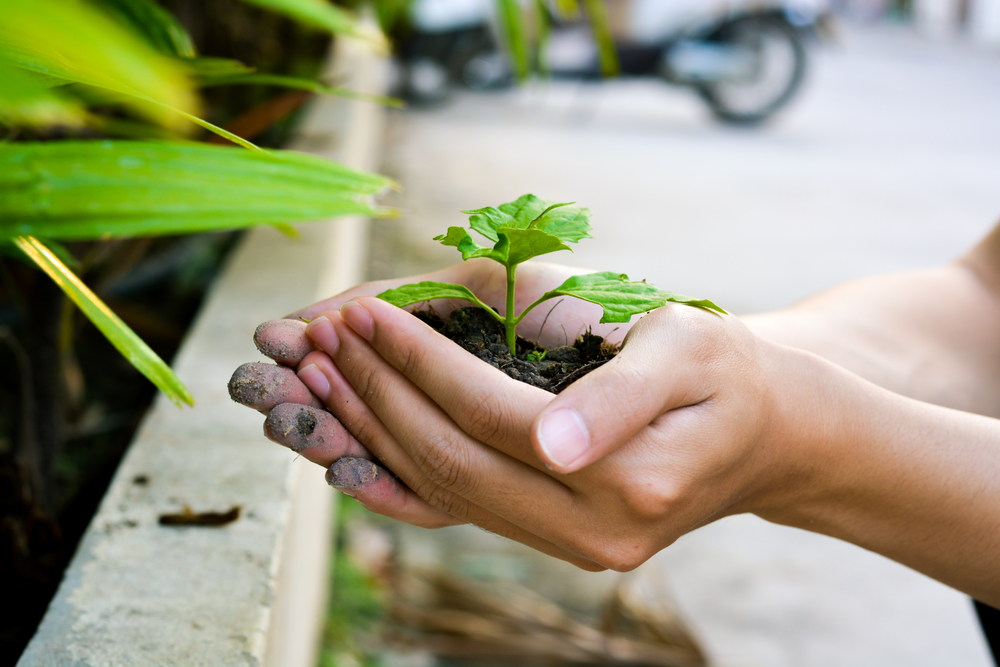 Best Credit Cards for People Who Invest