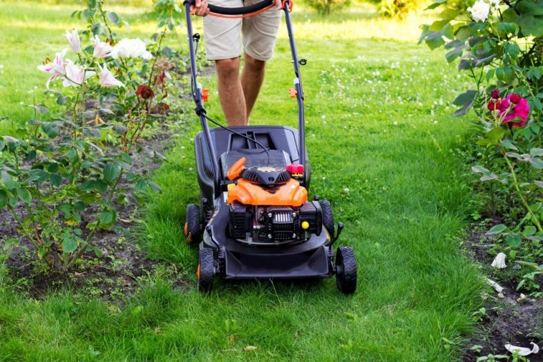 Should You Use a Personal Loan to Finance a Lawn Mower Purchase?