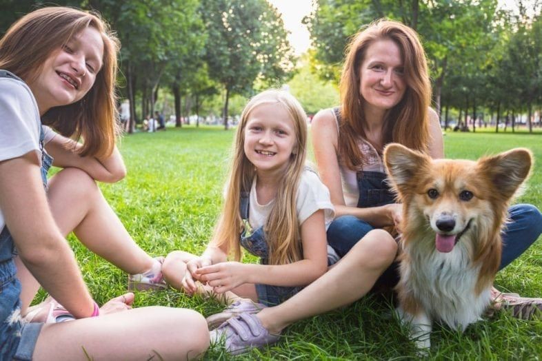 Should You Create a Pet Emergency Fund?