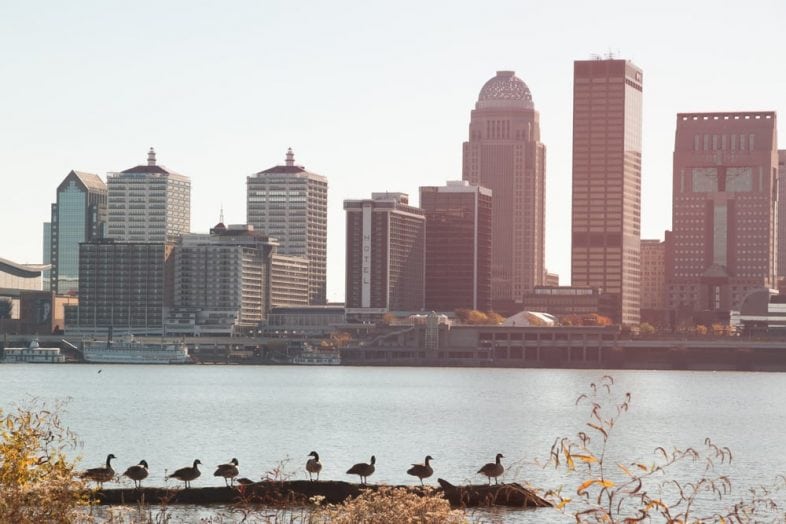 The Best Savings Accounts in Kentucky for 2026