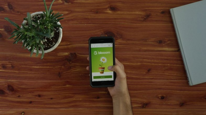 Blooom 2026 Review: Best for Managing Your 401(k) Investments?