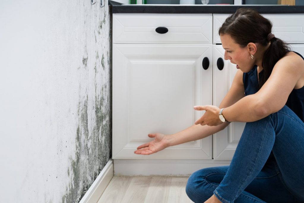 Homeowners Insurance and Mold Damage: When You Are and Aren’t Covered