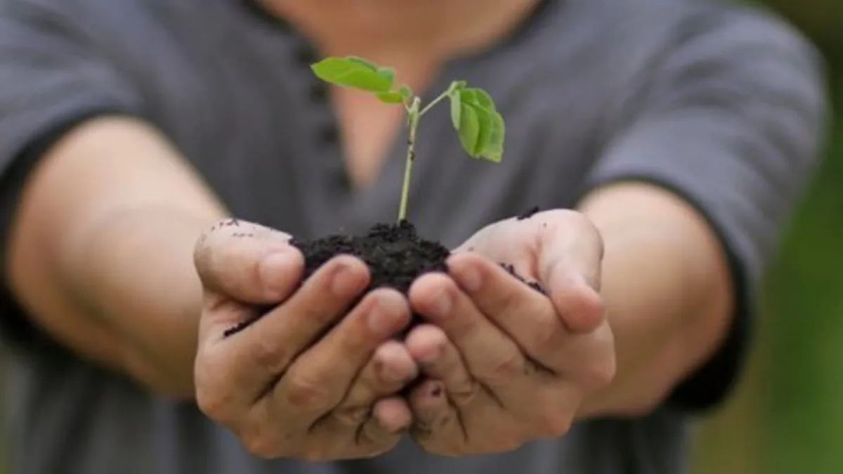 How Much of My Income Should I Be Saving?