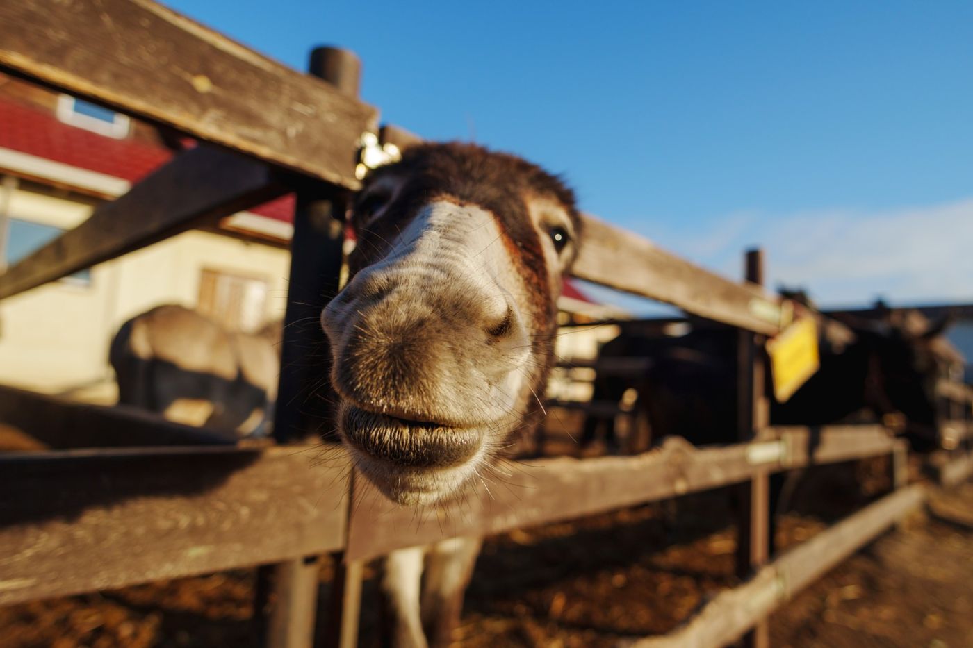 Redneck Bank Rewards Checkin’ Account 2026 Review