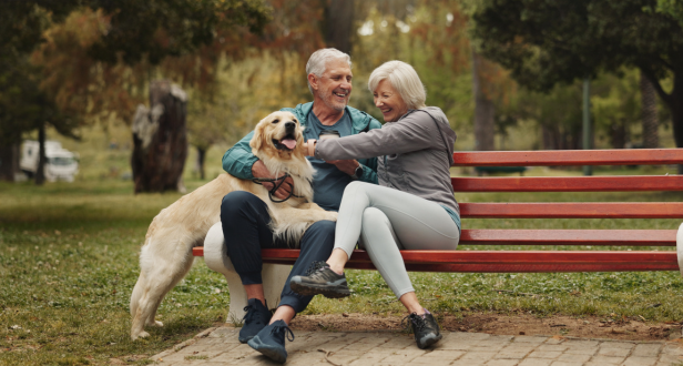 CD ladder for retirement income: Complete strategy guide for 2026